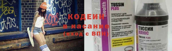 прущие грибы Кострома