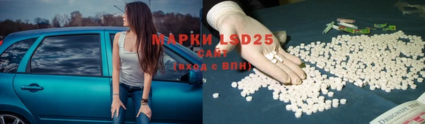 тгк Аркадак