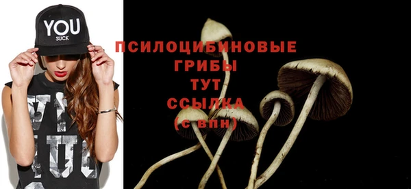 прущий лед Алексин