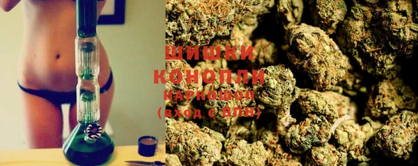 дурь Арсеньев