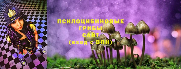 прущий лед Алексин