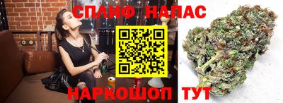ECSTASY Кандалакша