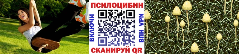 Псилоцибиновые грибы ЛСД Комсомольск-на-Амуре