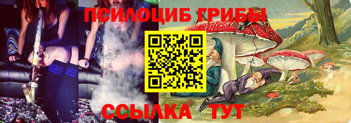 Псилоцибиновые грибы GOLDEN TEACHER  Вход с VPN  как найти закладки  Комсомольск-на-Амуре  Галлюциногенные грибы Magic Shrooms 